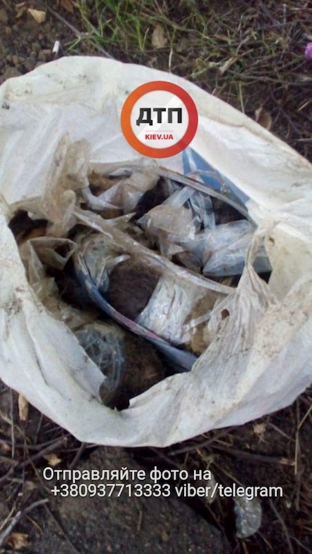 Свежие новости: 