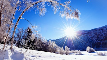 Свежие новости: Синоптики прогнозируют теплую зиму в Украине