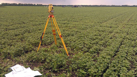 Свежие новости: Житель Новой Одессы самовольно захватил участок площадью 50 га