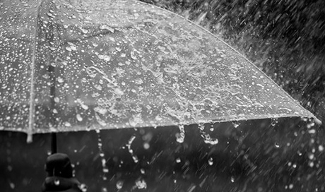 Фото новости: В Украине в воскресенье похолодает и пройдут дожди Свежие новости: В Украине в воскресенье похолодает и пройдут дожди