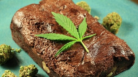 Свежие новости: Учасників поминального обіду в Німеччині помилково нагодували пирогом з гашишем