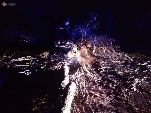 Свежие новости: В Николаевской области на трассу Н-11 упали деревья