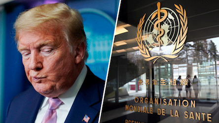 Свежие новости: В Нью-Йорке подали иск против ВОЗ