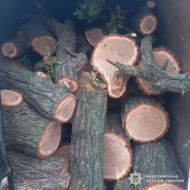Свежие новости: На Миколаївщині поліція викрила злочинне угруповання, яке незаконно вирубало ліс на понад 1,7 млн грн