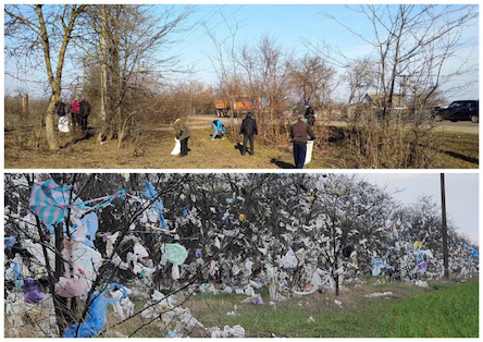 Свежие новости: Деревья вдоль очаковской трассы освободили от мусорных пакетов,