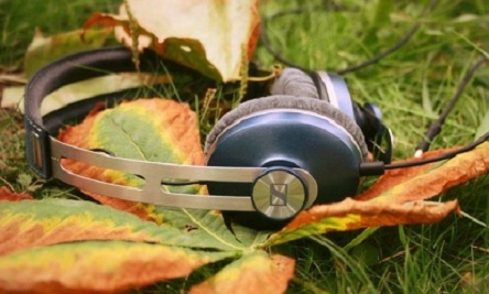 Свежие новости: Какой сегодня праздник. День работников радио, телевидения и связи, день терпимости и именины Анны