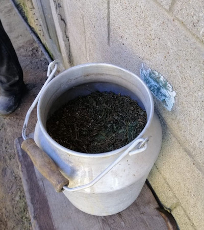 Свежие новости: На Одесщине пограничники и полицейские нашли бидон с каннабисом