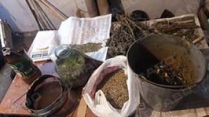 Свежие новости: Три брата из Веселиново создали наркобизнес