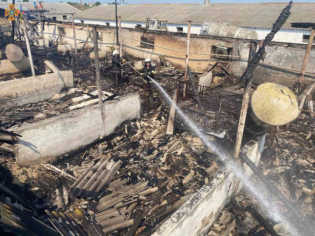 Фото новости: На Николаевщине горела свиноферма – 20 животных удалось спасти Свежие новости: На Николаевщине горела свиноферма – 20 животных удалось спасти