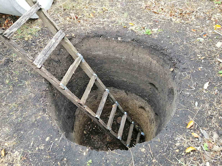 Свежие новости: Миколаївська область: рятувальники витягли собаку з ями