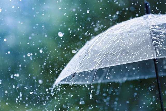 Свежие новости: В Украине объявили штормовое предупреждение: ожидаются сильные дожди