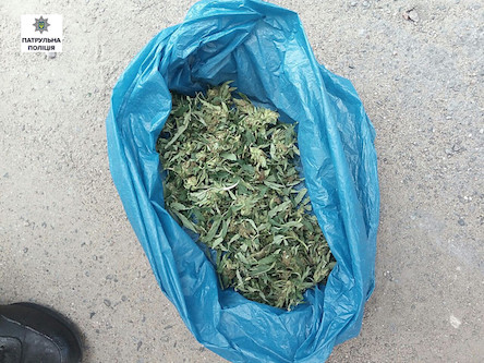 Свежие новости: Николаевская полиция задержала подростка с большим пакетом конопли