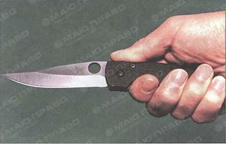 Свежие новости: Жестокое убийство в Николаеве: мужчина приревновал сожительницу к товарищу