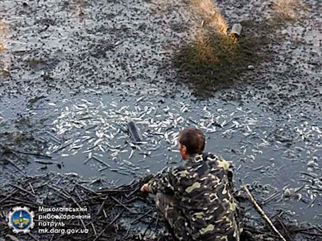 Свежие новости: В Первомайске из-за осушения участка реки случился массовый замор краснокнижной рыбы – ущерб составил более ₴17 миллионов