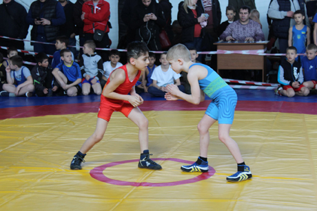 Свежие новости: У Вознесенську проходять змагання з греко-римської боротьби