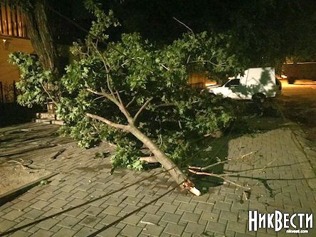 Фото новости: На Николаевщине из-за непогоды обесточенными оказались 39 населенных пунктов Свежие новости: На Николаевщине из-за непогоды обесточенными оказались 39 населенных пунктов