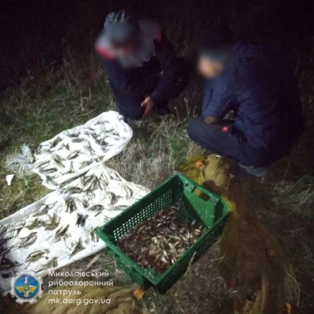 Свежие новости: На Николаевщине поймали браконьеров, которые бреднем наловили рыбу на 27 тысяч гривен