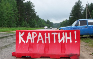 Свежие новости: На Николаевщине зарегистрированы случаи трихинеллеза, бешенства и АЧС у животных