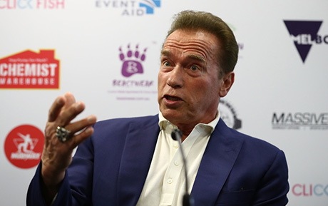 Свежие новости: Губернатор Савченко вместе с Кличко «заманят» Шварцнеггера на Николаевщину