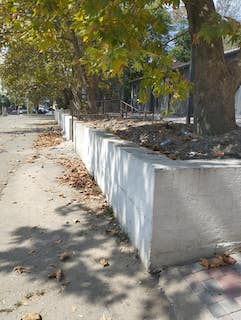 Свежие новости: У Миколаєві будівельники залили бетоном дерева