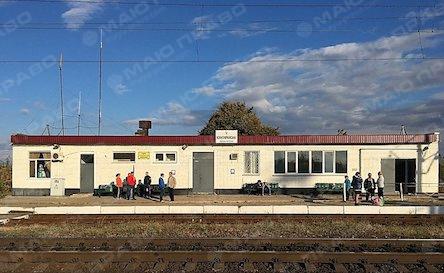 Свежие новости: Под Южноукраинском пьяный парень попал под поезд