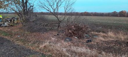 Свежие новости: В Херсонской области разбилась машина с 15-летним водителем: погибли 4 человека