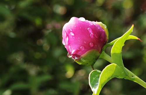 Свежие новости: 