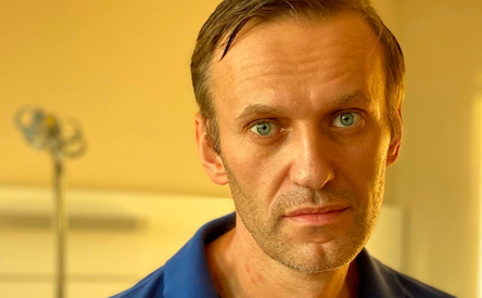 Свежие новости: 