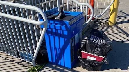 Свежие новости: 38 щенков погибли во время перелета самолетом МАУ