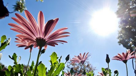 Свежие новости: Погода на завтра в Украине: дожди, грозы и шквалы