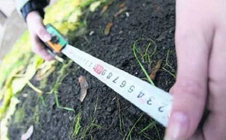 Свежие новости: Страна разграблена, землю уже поделили. Интервью с главой Госгеокадастра