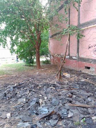 Свежие новости: В Николаеве рабочие при ремонте крыши уничтожили сквер, посаженный пенсионеркой, сбрасывая на него старый рубероид