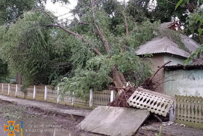 Свежие новости: В Одесской области сильный ветер срывал крыши и валил деревья
