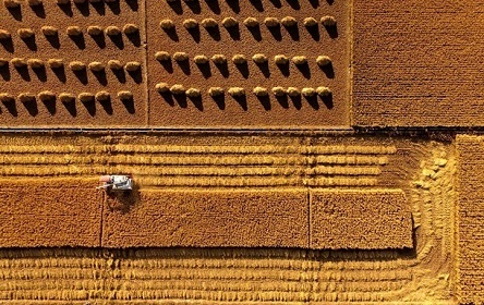 Свежие новости: В Украине впервые отстояли право продавать землю