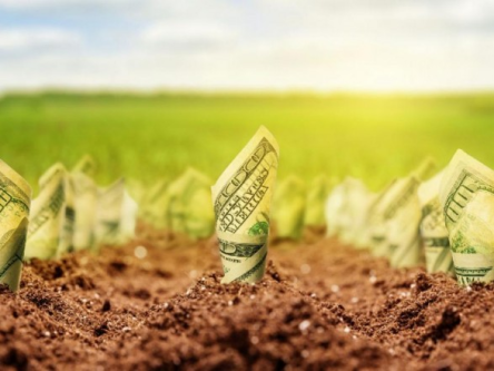 Свежие новости: В Офисе Зеленского прокомментировали запуск рынка земли