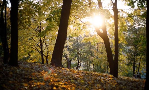 Свежие новости: Украину ожидает жаркая погода