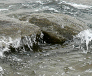 Свежие новости: Украинцы жалуются на нашествие комаров и медуз