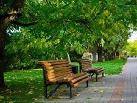 Свежие новости: На Николаевщине жители села сами строят 