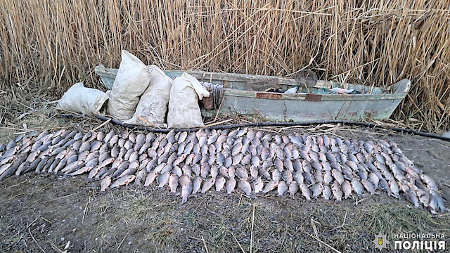 Свежие новости: У Миколаївському районі поліцейські викрили браконьєра, який виловив риби на понад 425 тисяч гривень