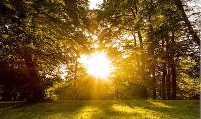 Свежие новости: В Николаеве и области ожидается солнечная погода до +33°