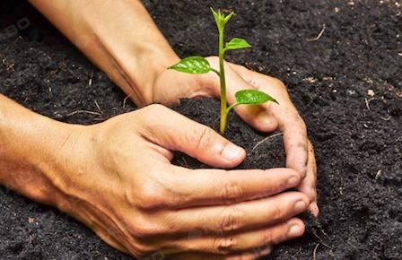 Свежие новости: ШАНОВНІ МЕШКАНЦІ МІСТА!