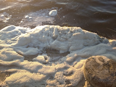 Свежие новости: В Николаеве берег на пляже покрылся белой пеной