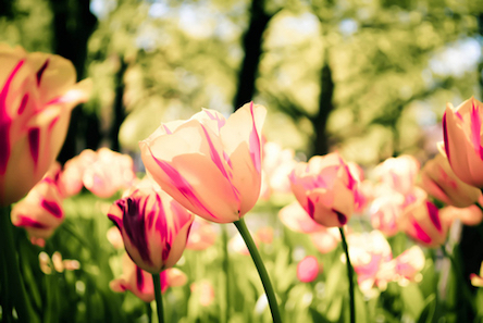 Свежие новости: В Украину придет потепление