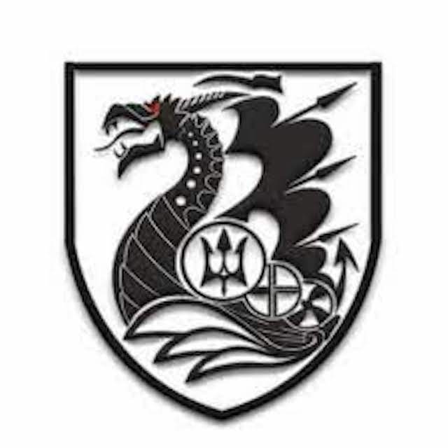 Свежие новости: З окупованої території вдалося евакуювати пораненого миколаївського морпіха — його прихистили місцеві