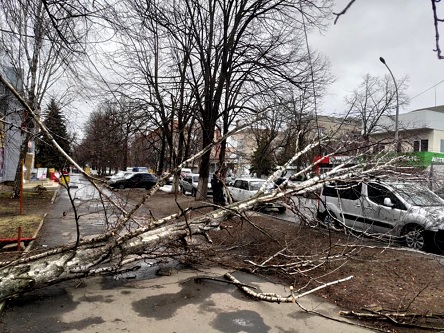 Свежие новости: Негода наробила лиха: рятувальники надають допомогу у розпилюванні та прибиранні повалених дерев