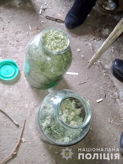 Свежие новости: Житель Вознесенська «припас» кілограм каннабісу