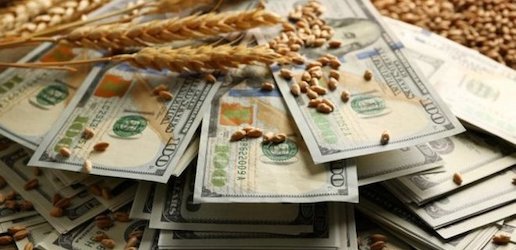 Свежие новости: Озвучен прогноз цен на украинское зерно в 2022 году
