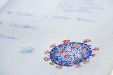 Свежие новости: 