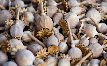 Свежие новости: Первомайские правоохранители задержали за сбыт опия ранее судимого местного жителя