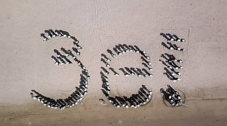 Свежие новости: В Березанском районе запустили челлендж в поддержку Зеленского